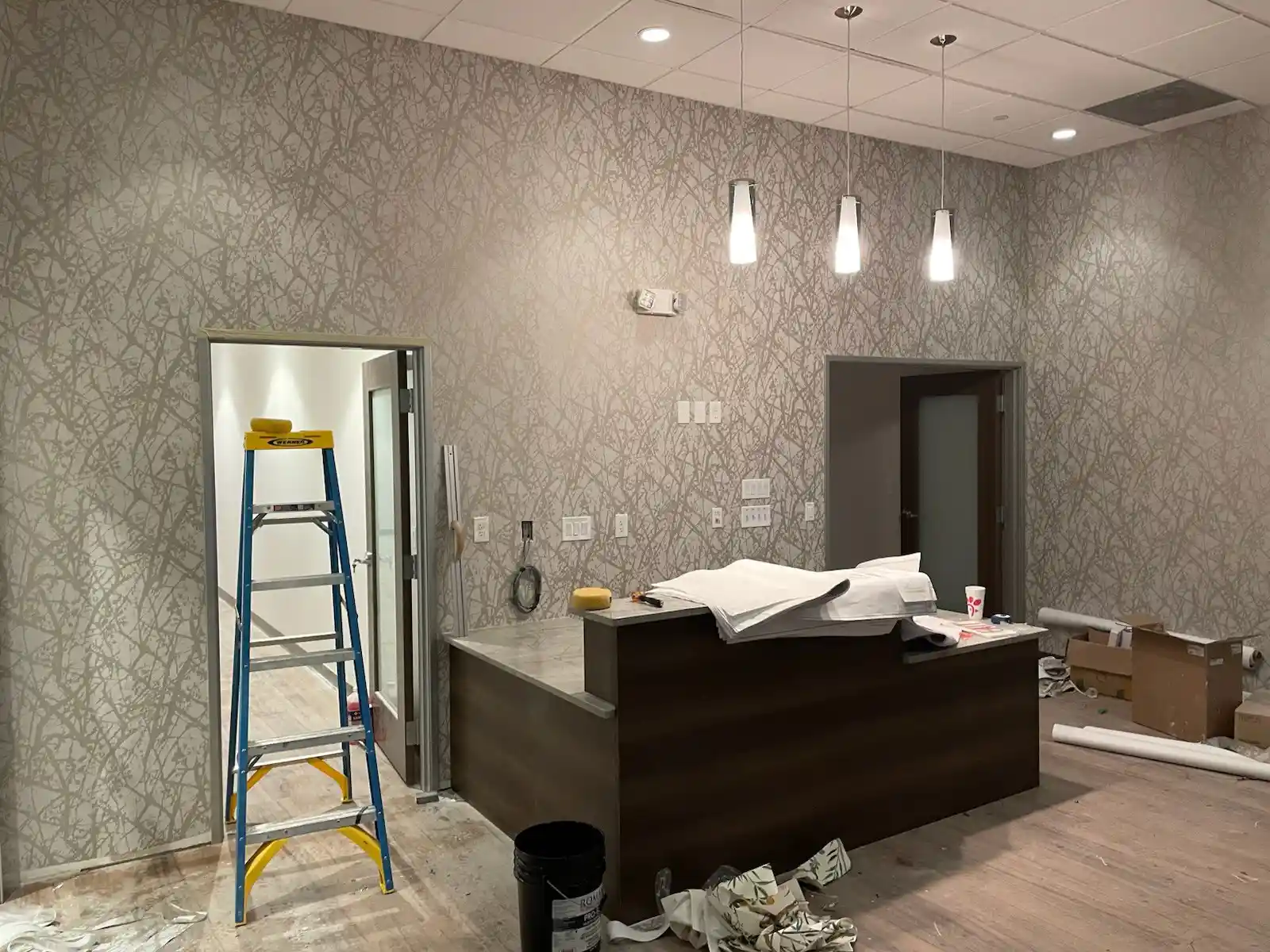 Professional wallpaper removal tools and process in Westwood, Los Angeles